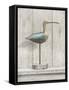 Curlew-Arnie Fisk-Framed Stretched Canvas