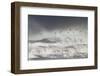 Curlews (Numenius Arquata) Group Flying over the Sea During Storm-Ben Hall-Framed Photographic Print