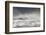 Curlews (Numenius Arquata) Group Flying over the Sea During Storm-Ben Hall-Framed Photographic Print