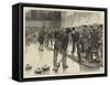 Curling at an Ice Rink, Manchester-William Ralston-Framed Stretched Canvas