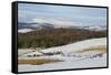 Curling on Frozen Bush Loch, Gatehouse of Fleet, Dumfries and Galloway, Scotland, United Kingdom-Gary Cook-Framed Stretched Canvas