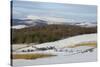 Curling on Frozen Bush Loch, Gatehouse of Fleet, Dumfries and Galloway, Scotland, United Kingdom-Gary Cook-Stretched Canvas