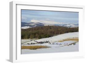 Curling on Frozen Bush Loch, Gatehouse of Fleet, Dumfries and Galloway, Scotland, United Kingdom-Gary Cook-Framed Photographic Print