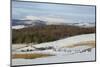 Curling on Frozen Bush Loch, Gatehouse of Fleet, Dumfries and Galloway, Scotland, United Kingdom-Gary Cook-Mounted Photographic Print
