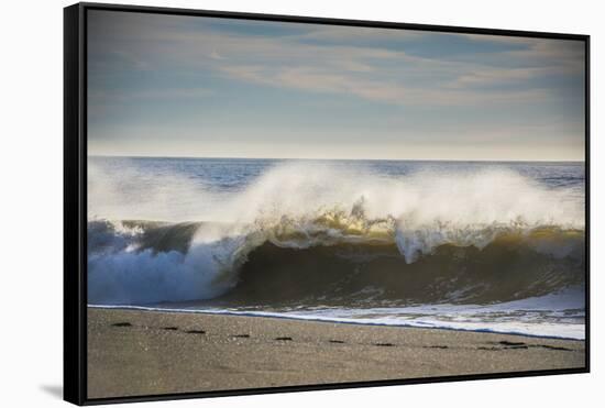 Curling wave on Pacific Ocean beach in evening light-Sheila Haddad-Framed Stretched Canvas