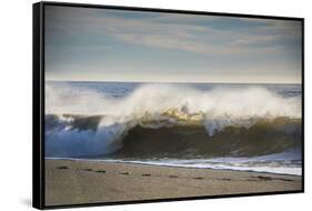 Curling wave on Pacific Ocean beach in evening light-Sheila Haddad-Framed Stretched Canvas