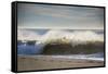 Curling wave on Pacific Ocean beach in evening light-Sheila Haddad-Framed Stretched Canvas