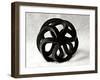 Curls-Tammy Putman-Framed Photographic Print