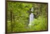 Curly Creek Falls, Lewis River, Gifford Pinchot National Forest, Washington, USA-Jamie & Judy Wild-Framed Photographic Print