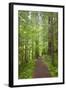 Curly Creek Falls, Lewis River, Gifford Pinchot National Forest, Washington, USA-Jamie & Judy Wild-Framed Photographic Print