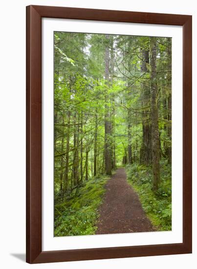 Curly Creek Falls, Lewis River, Gifford Pinchot National Forest, Washington, USA-Jamie & Judy Wild-Framed Photographic Print