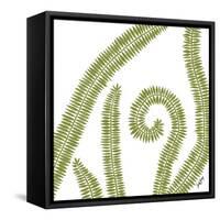 Curly Fern-Trish Sierer-Framed Stretched Canvas