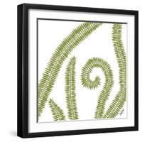 Curly Fern-Trish Sierer-Framed Art Print