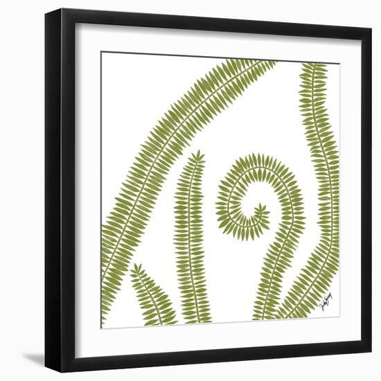 Curly Fern-Trish Sierer-Framed Art Print