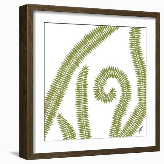 Curly Fern-Trish Sierer-Framed Art Print