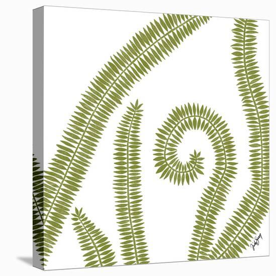 Curly Fern-Trish Sierer-Stretched Canvas