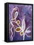 Curly Plant II-Ruth Palmer-Framed Stretched Canvas