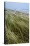Curracloe Beach, County Wexford, Leinster, Republic of Ireland (Eire), Europe-Nico Tondini-Stretched Canvas