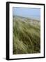 Curracloe Beach, County Wexford, Leinster, Republic of Ireland (Eire), Europe-Nico Tondini-Framed Photographic Print