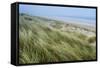 Curracloe Beach, County Wexford, Leinster, Republic of Ireland (Eire), Europe-Nico Tondini-Framed Stretched Canvas