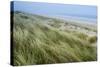 Curracloe Beach, County Wexford, Leinster, Republic of Ireland (Eire), Europe-Nico Tondini-Stretched Canvas