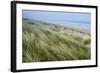 Curracloe Beach, County Wexford, Leinster, Republic of Ireland (Eire), Europe-Nico Tondini-Framed Photographic Print