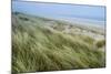 Curracloe Beach, County Wexford, Leinster, Republic of Ireland (Eire), Europe-Nico Tondini-Mounted Photographic Print