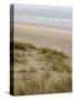 Curracloe Beach, County Wexford, Leinster, Republic of Ireland (Eire)-Sergio Pitamitz-Stretched Canvas