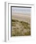 Curracloe Beach, County Wexford, Leinster, Republic of Ireland (Eire)-Sergio Pitamitz-Framed Photographic Print