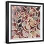 Currant Vine II-Chariklia Zarris-Framed Art Print