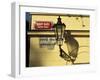 Current and Historical Street Signs with Lamp on a Wall, Hradcany, Prague, Czech Republic-Richard Nebesky-Framed Photographic Print