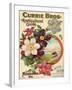 Currie Bros. Horticultural Guide, Spring 1899-null-Framed Art Print