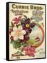 Currie Bros. Horticultural Guide, Spring 1899-null-Framed Stretched Canvas