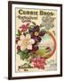 Currie Bros. Horticultural Guide, Spring 1899-null-Framed Art Print