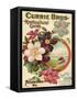Currie Bros. Horticultural Guide, Spring 1899-null-Framed Stretched Canvas