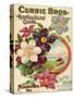 Currie Bros. Horticultural Guide, Spring 1899-null-Stretched Canvas