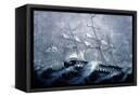 Canvas Black