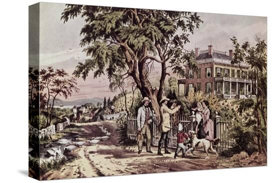 Stretched Canvas Print, , large