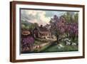 Brown Frame