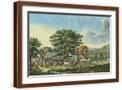 Brown Frame