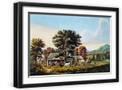 Black Frame