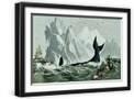 Black Frame