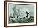 Brown Frame