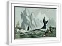 White Frame