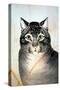 Currier & Ives: Cat-Currier & Ives-Stretched Canvas