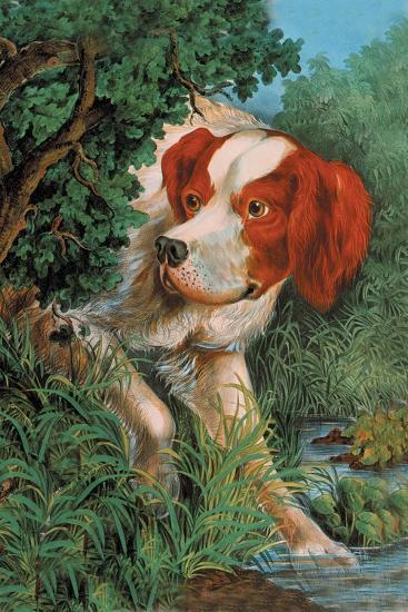 Art Print, , large