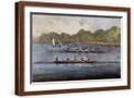 Brown Frame
