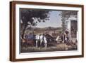 Brown Frame