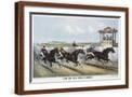 Brown Frame
