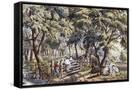 Canvas Black